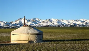 Descubren por qué los mongoles no lograron conquistar Europa