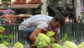 Los jardines del Barroco italiano invaden el corazón de Bruselas