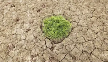 ¿Por qué Arabia Saudita compra tierras en EE.UU.?