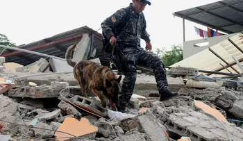 El rescate de don Segundo, el video viral que le devuelve la esperanza a Ecuador