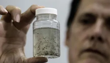  Estados Unidos confirma su primer caso del zika por transmisión sexual