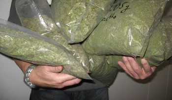 Ocupan 10 libras de marihuana en un minibús de transporte público en Elías Piña