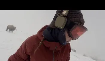 ¿Sucedió de veras?: Un oso persigue a una snowboardista