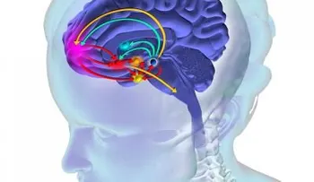 Así destrozan tu cerebro las drogas