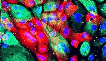 Los casos de cáncer podrían casi duplicarse en 20 años