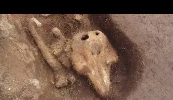 Un hallazgo inesperado en un cementerio medieval desconcierta a científicos