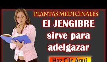 El jengibre sirve para adelgazar y combatir el colesterol (VIDEO)
