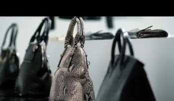 Compró un bolso y esto fue lo que encontró al abrirlo; los clientes saltaban de terror (VIDEO)