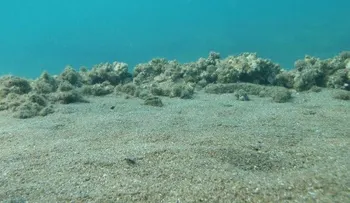 Esta es la razón por la que se está hundiendo el fondo del mar