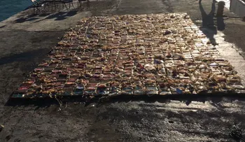 Confiscan 822 paquetes de cocaína en un puerto mexicano