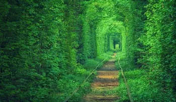 35 lugares surrealistas para visitar antes de morir