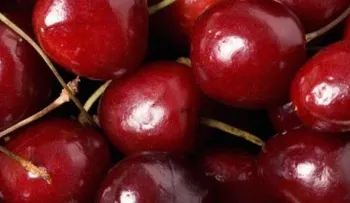 6 alimentos para combatir la inflamación