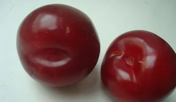 La mejor solución para el estreñimiento con ciruela y sen (Video: frutas y hortalizas: la Ciruela)