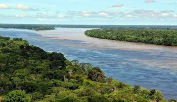 Descubren estructuras arcaicas más antiguas que el propio Amazonas  