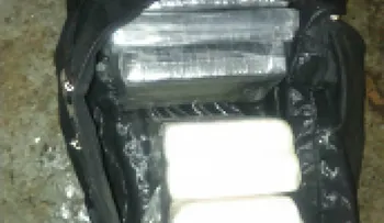 Decomisan 10 kilos de cocaína en muelle de Santo Domingo