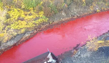 Las aguas de un río se tiñen de rojo sangre