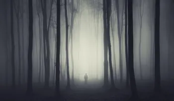 Los misterios sin resolver que dejó el 2015