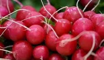 En 9 días puede perder peso y cambiar tu figura con este jugo