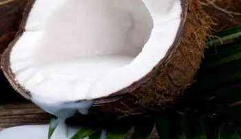5 Beneficios de la leche de coco