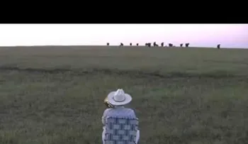 La canción de este hombre atrae una manada de vacas