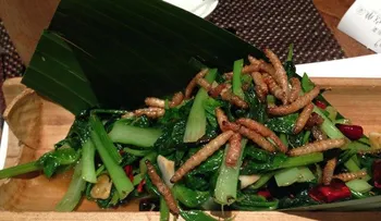 Una empresa china obliga a sus empleados a comer gusanos si no suben las ventas