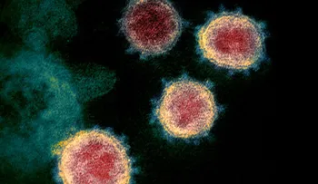 Científicos descubren que el nuevo coronavirus puede sobrevivir a más de 60 grados