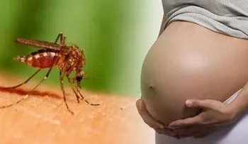 Crece el misterio sobre el virus de Zika