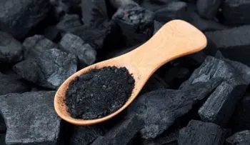 Beneficios del carbón activado para el organismo