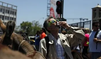Venden leche de burra en Santiago de Chile 