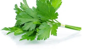 EL Cilantro puede eliminar 80% metales de tu cuerpo en 42 DIAS