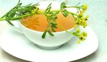 Porque no me lo habían dicho antes: Beneficios medicinales de la infusion de Ruda