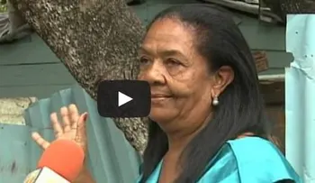 Video: Aparece imagen de Jesús en el tronco de un árbol