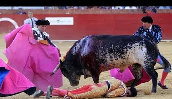 FUERTES IMÁGENES: Torero Víctor Barrio muere tras sufrir una cornada en el pecho (VIDEO 18+)
