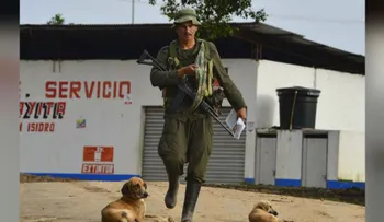 Gobierno de Colombia indultará a 30 guerrilleros de las FARC