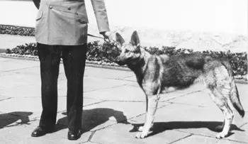 Las mascotas de los dictadores