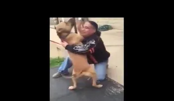 Un hombre recupera perro que perdió hace dos años (VIDEO)