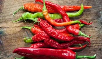 Los beneficios del chile picante; podría ayudarle a perder peso