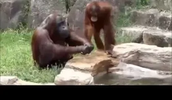 20 videos más graciosos y asombrosos 12