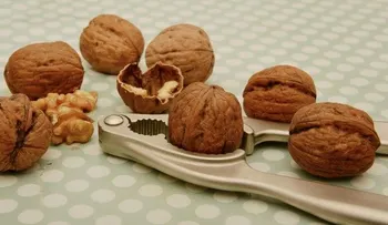 Un dieta rica en nueces mejora la fertilidad de los hombres; come más nueves y tendrás más espermatozoides