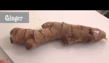 Te sorprenderás de lo sucedido: Ella colocó la sobra del apio en un tazón de agua.... (VIDEO)