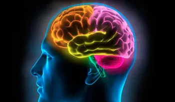 El alimento perfecto para tu cerebro