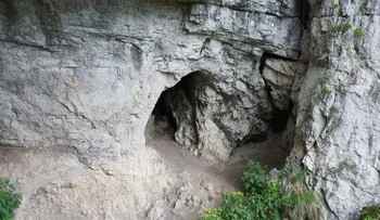 Confirman que dos cráneos aparecidos en China pertenecen a una enigmática especie humana