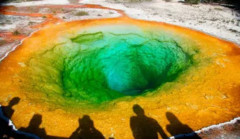 Hallan organismos extraterrestres en el Parque Yellowstone