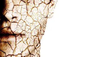 Un pequeño microorganismo mas evolucionado que el ser humano