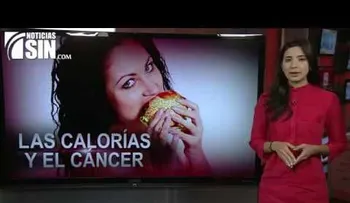  El consumo de comida rápida y los dulces aumentan riesgo de padecer cánceres 