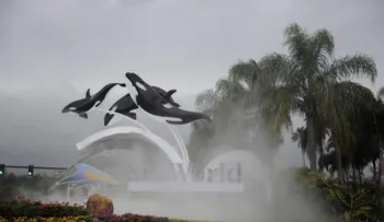 SeaWorld despide a empleados en todos sus parques temáticos de Estados Unidos