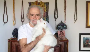 Ramiro Calle: "Los gatos son maestros del bienestar y la calma"