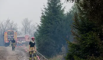 Bélgica combate su mayor incendio forestal histórico en Altas Fens; amenaza con cruzar a Alemania