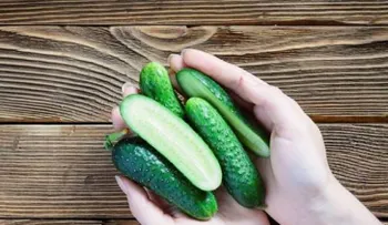 Calcular las porciones con las manos, una estrategia para no comer de más