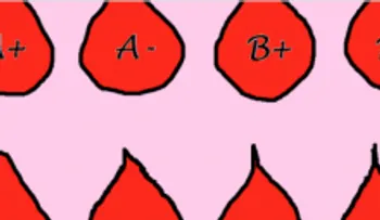 Esto es como tu tipo de sangre determina tu temperamento!!!